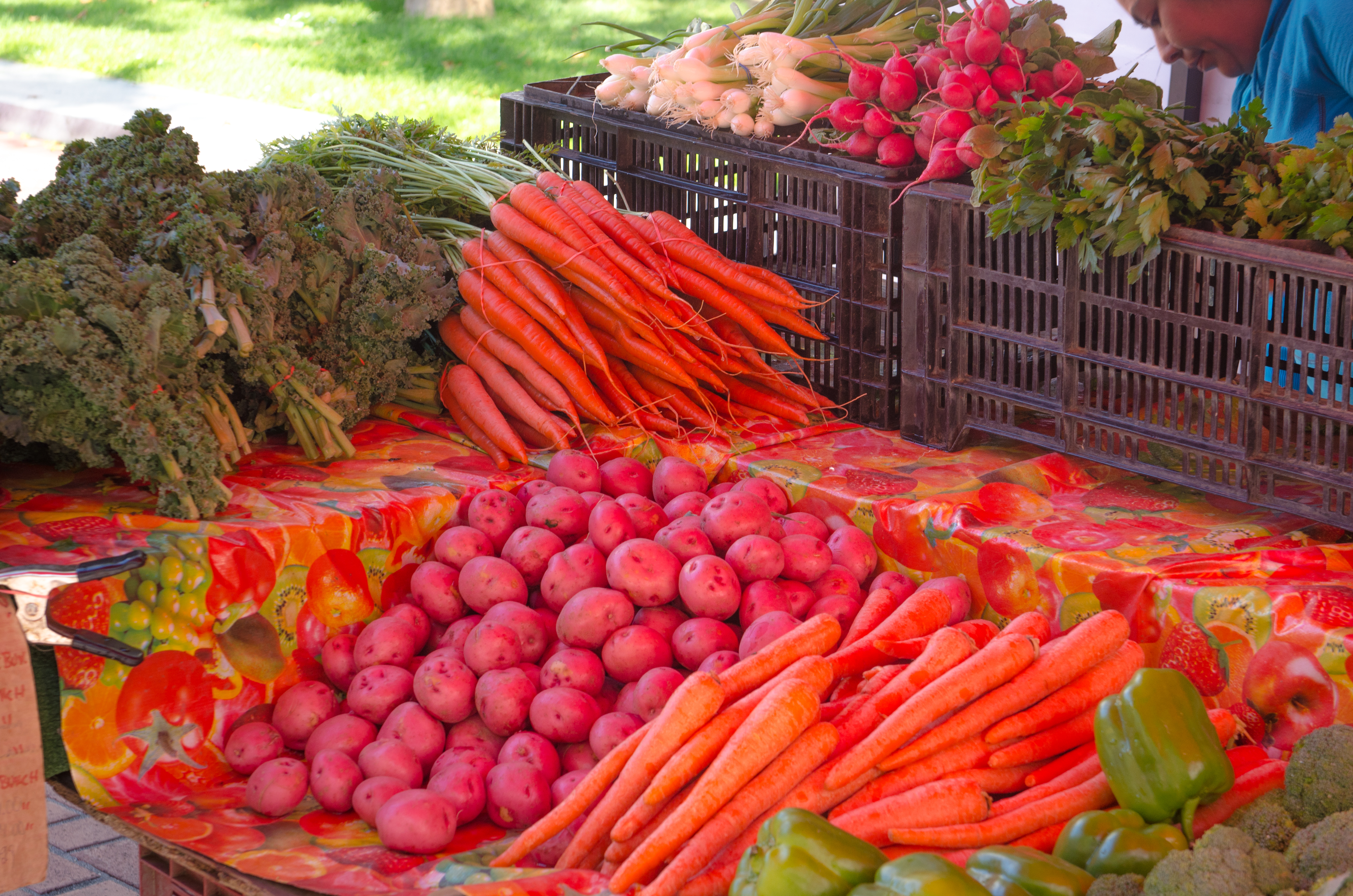 Civic Center Market (17 of 30) 7623905624
