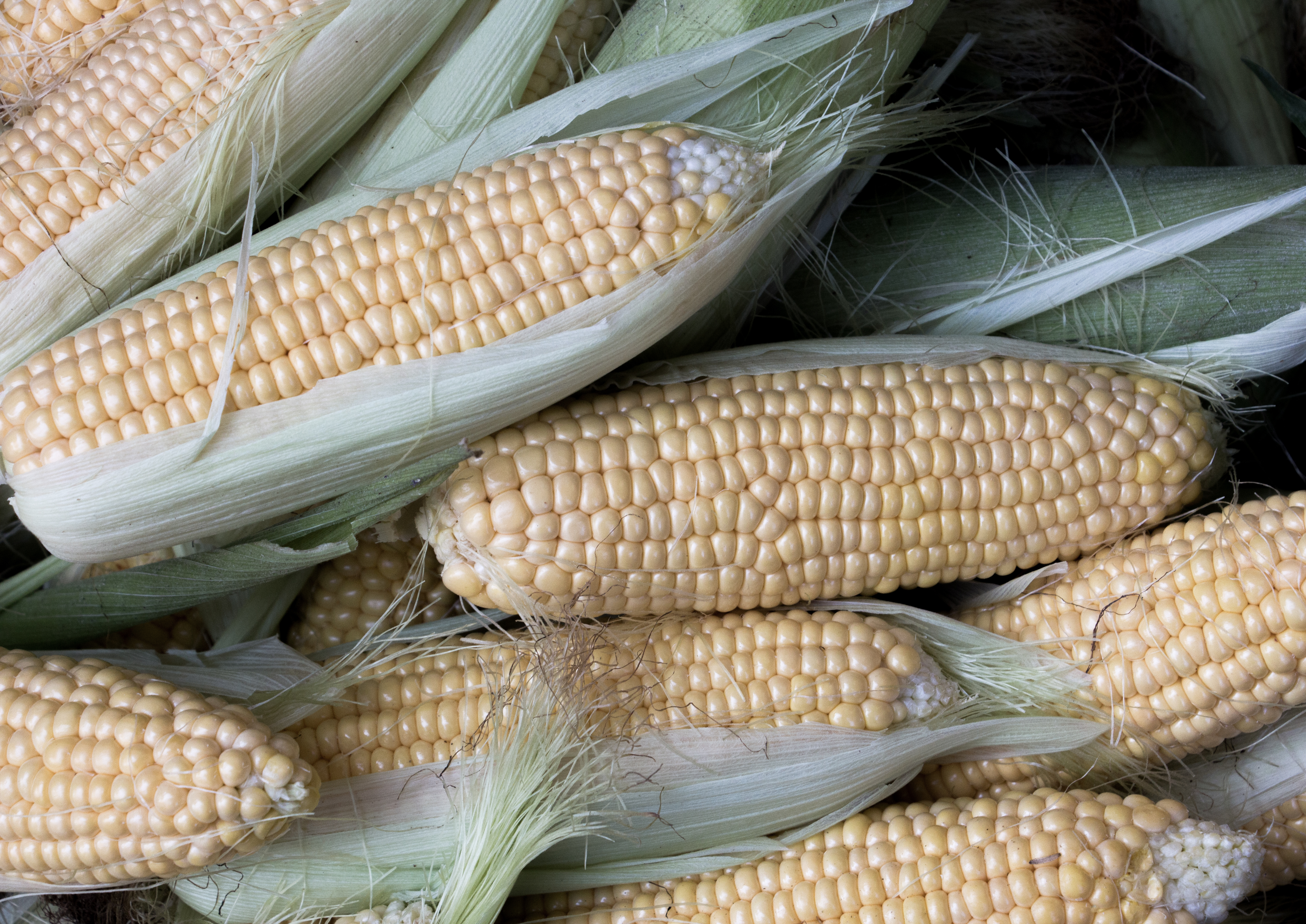 Corn in mexican market