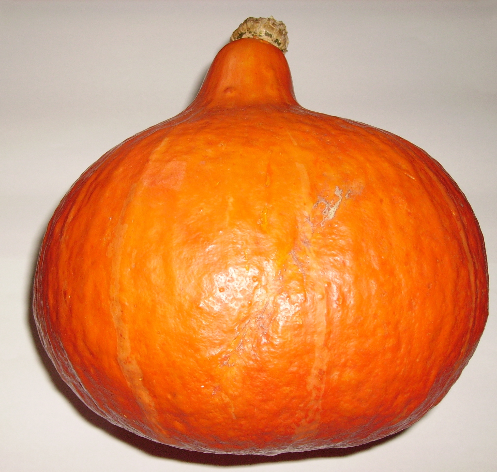 Cucurbita maxima