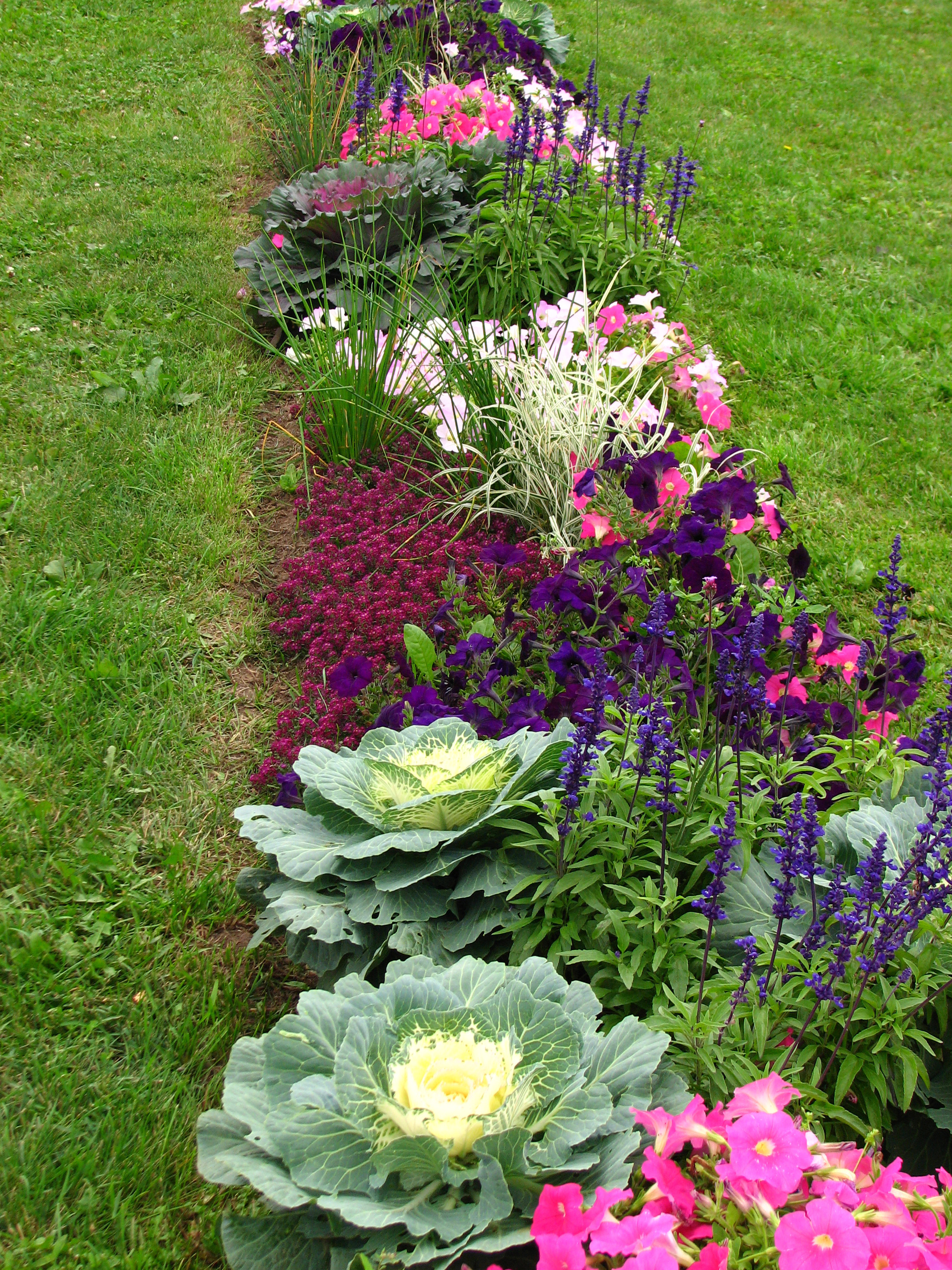 Flowerbeds in apple orchard (Kolomenskoye) 05