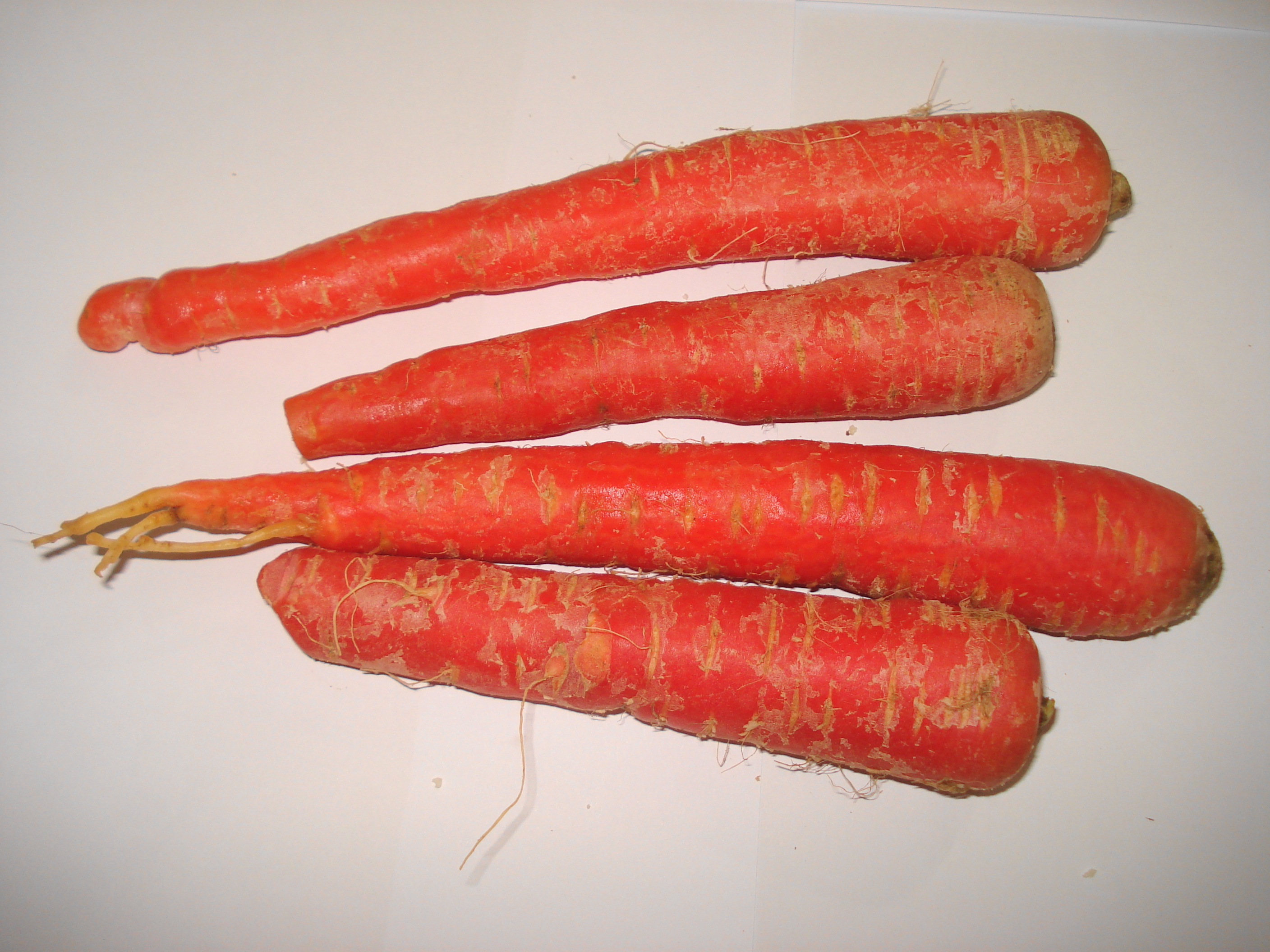 Gajar
