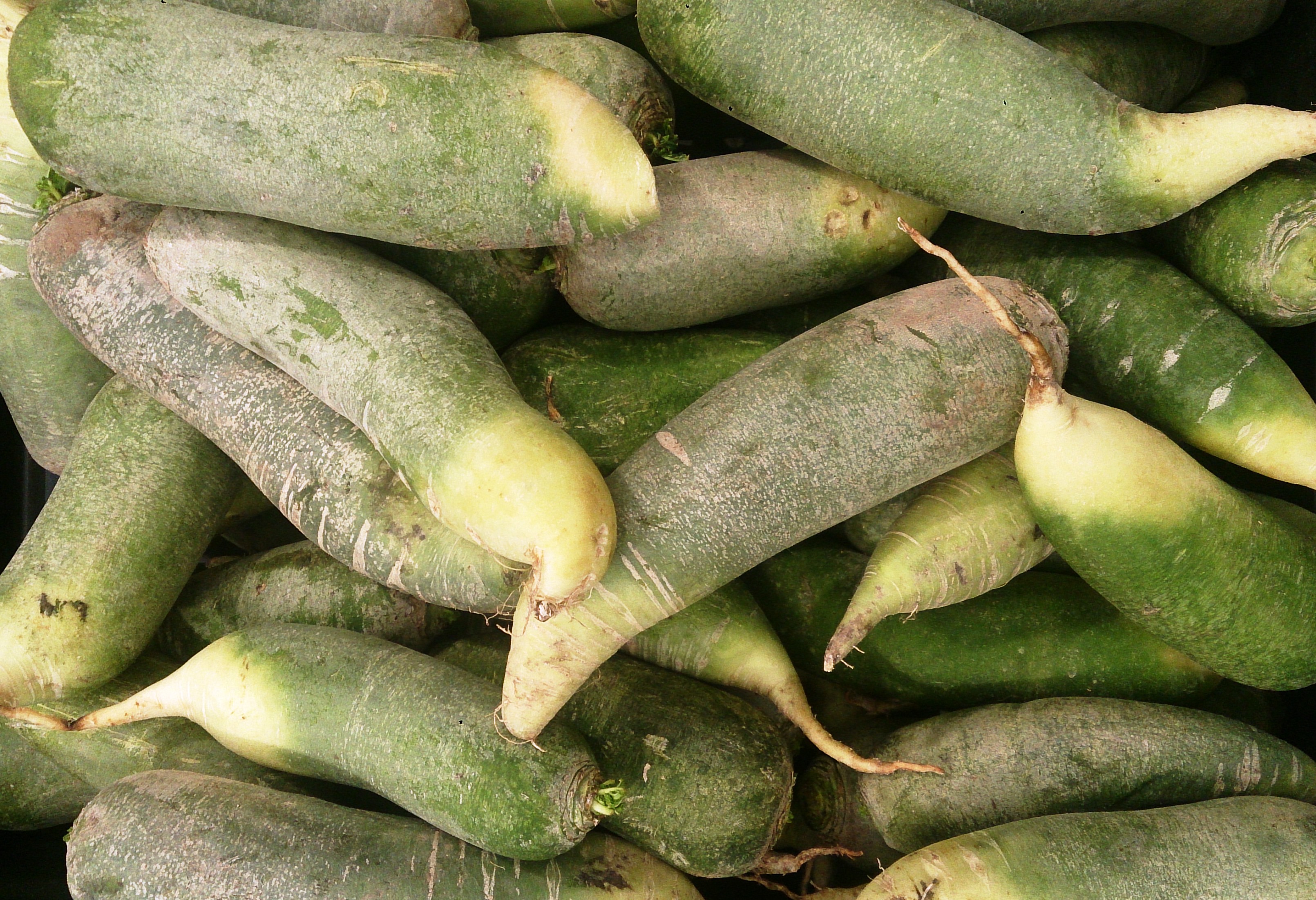 Green carrot