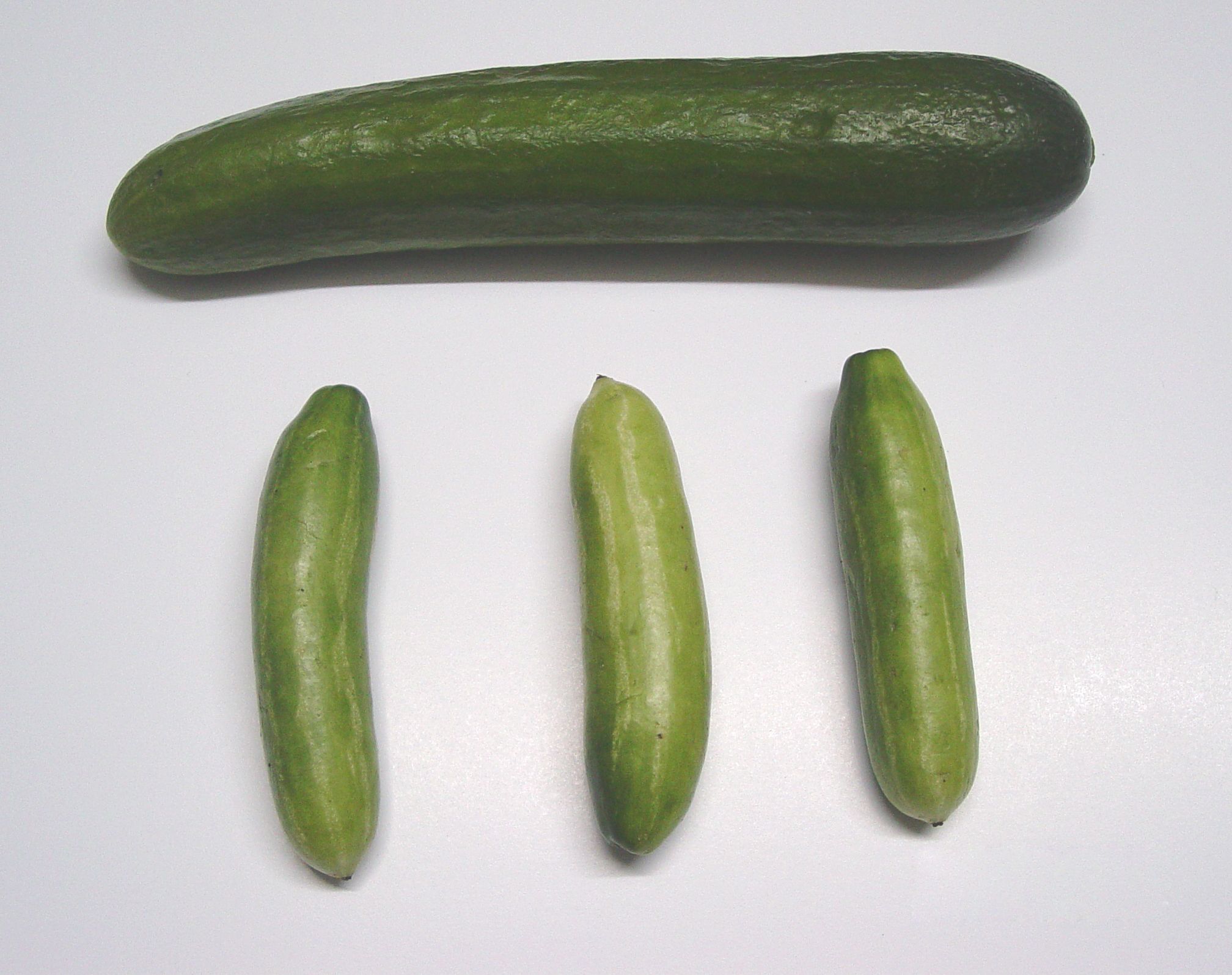 Kova-plus-cucumber