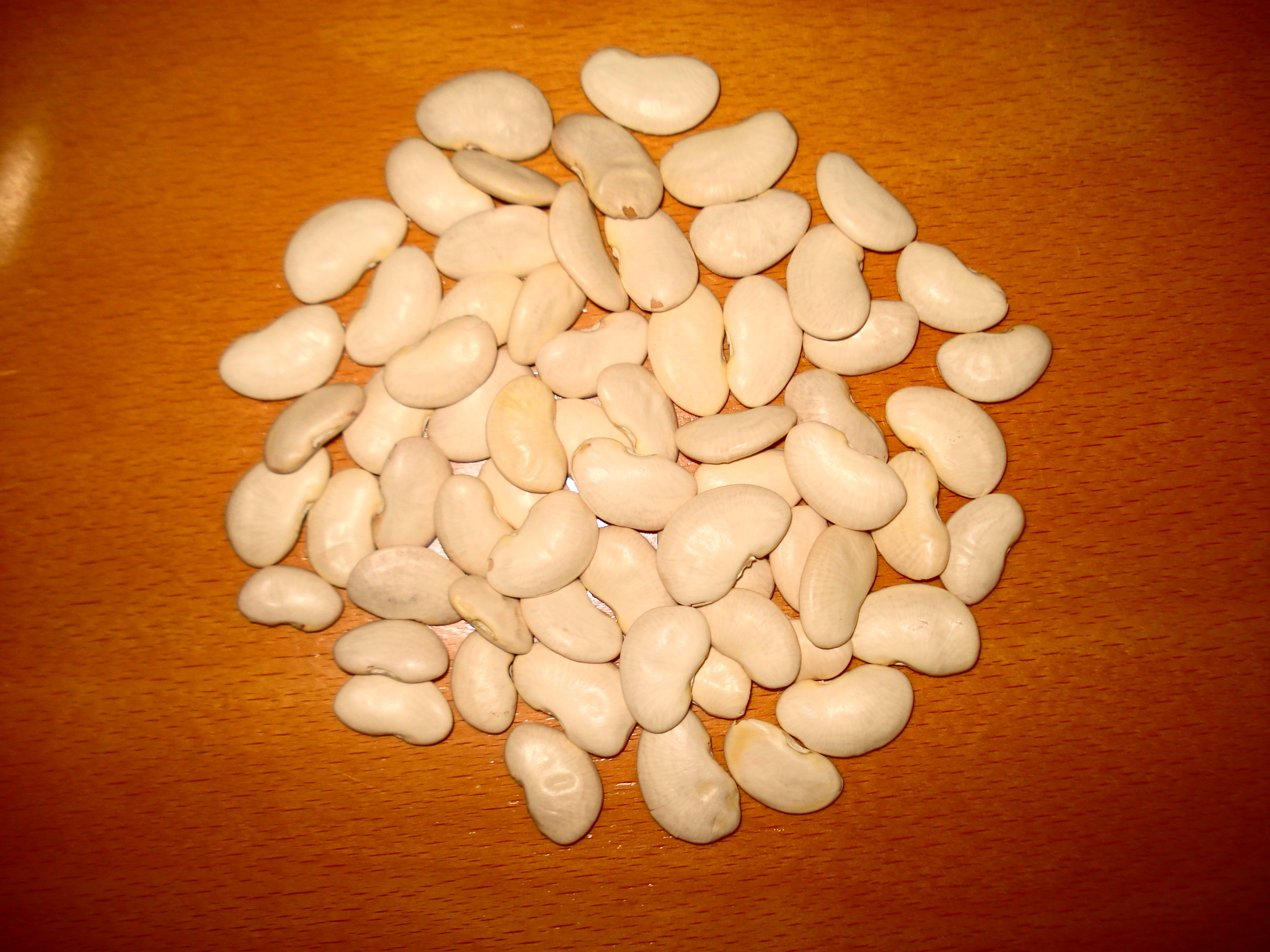 Lima Beans