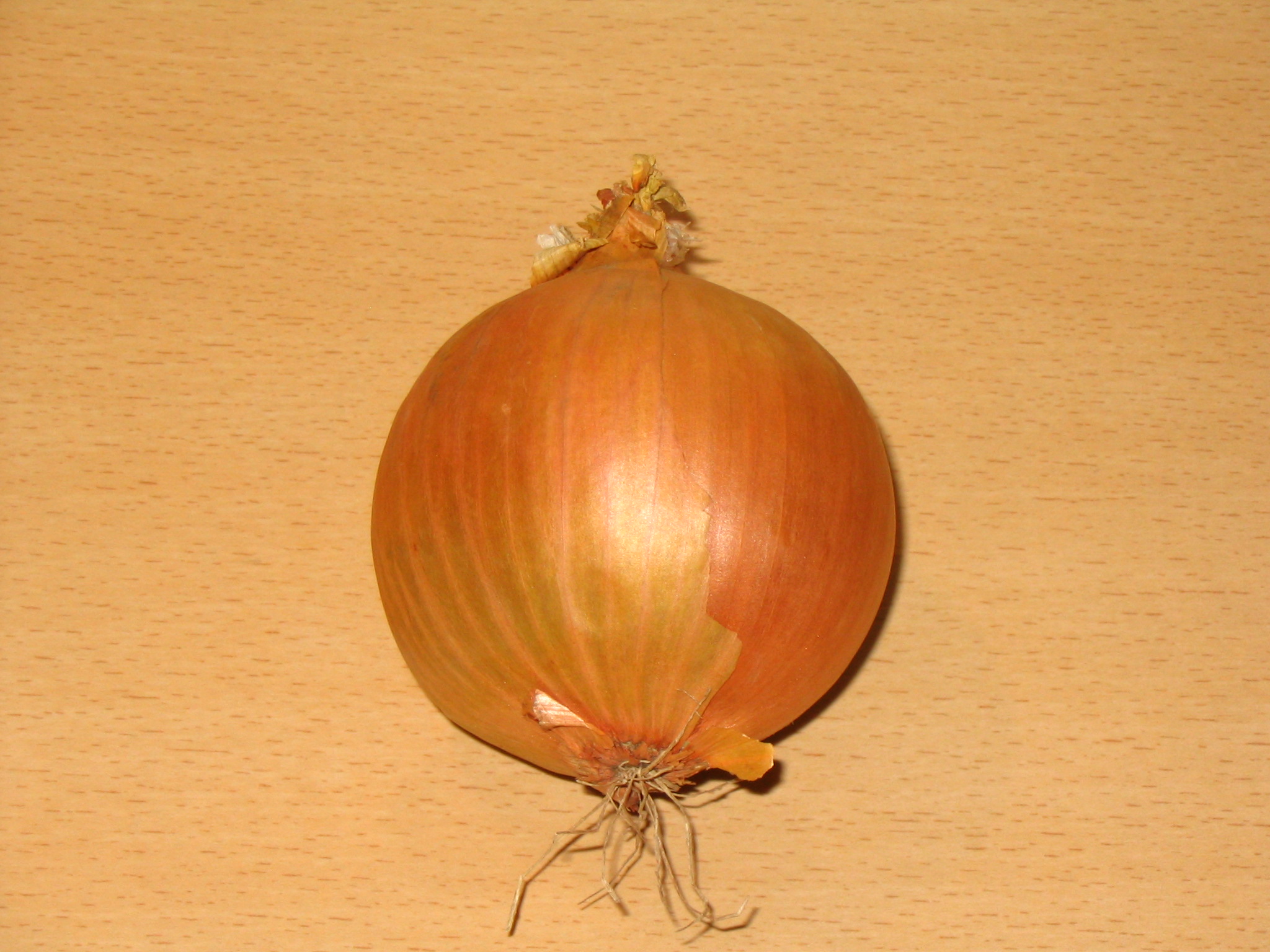 Oignon