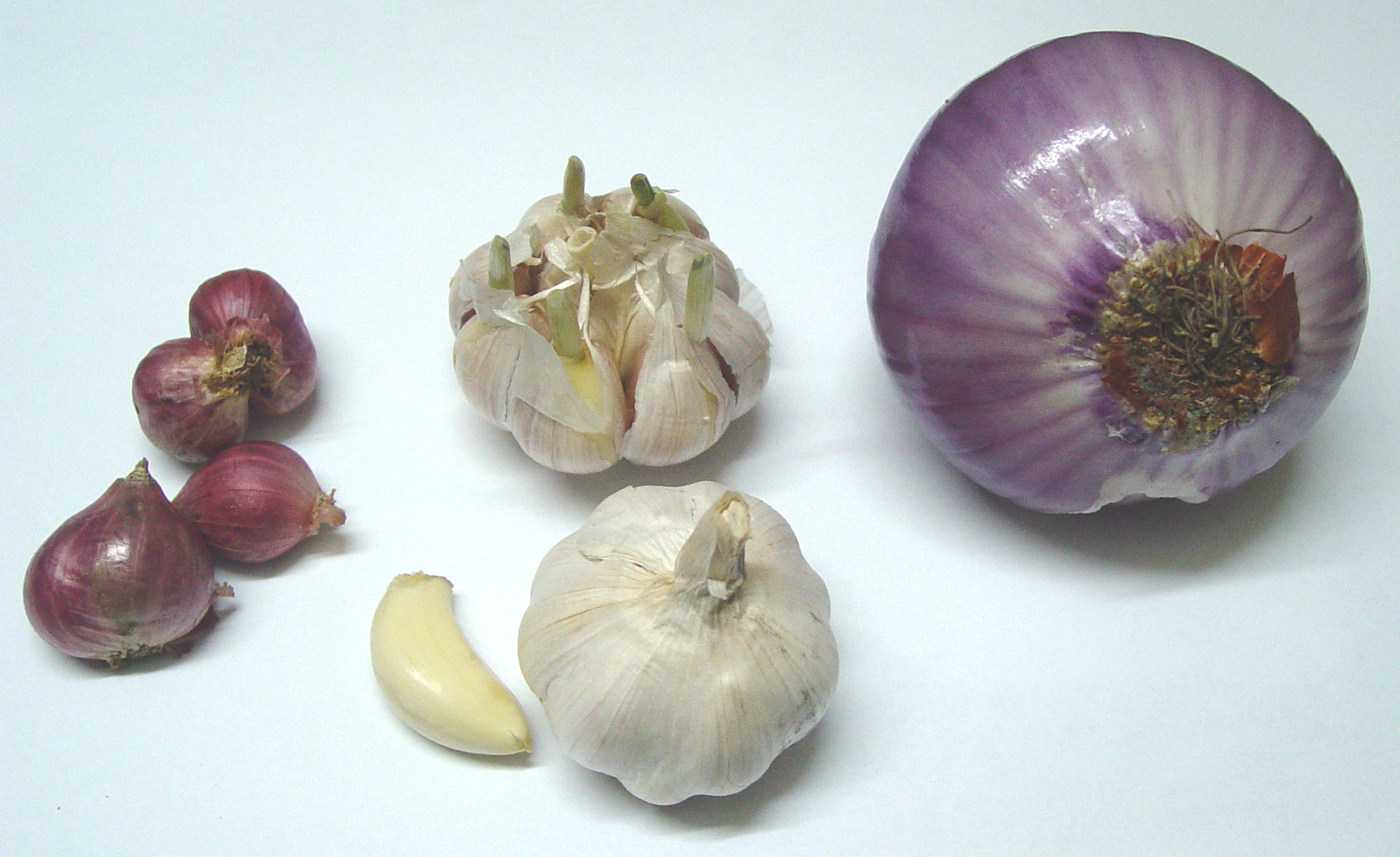 Onion-garlic-sabola