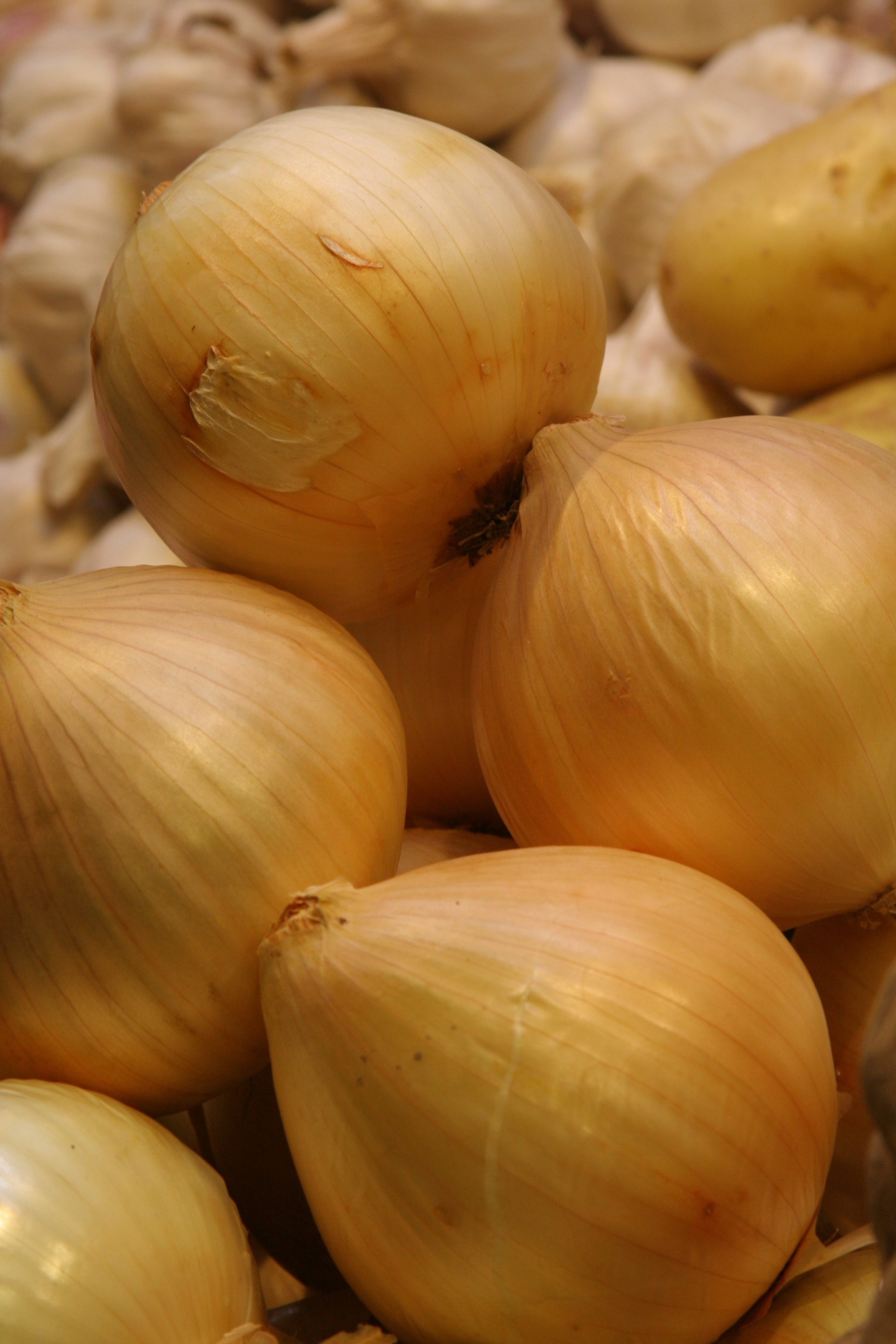 Onion in a Barcelona local market