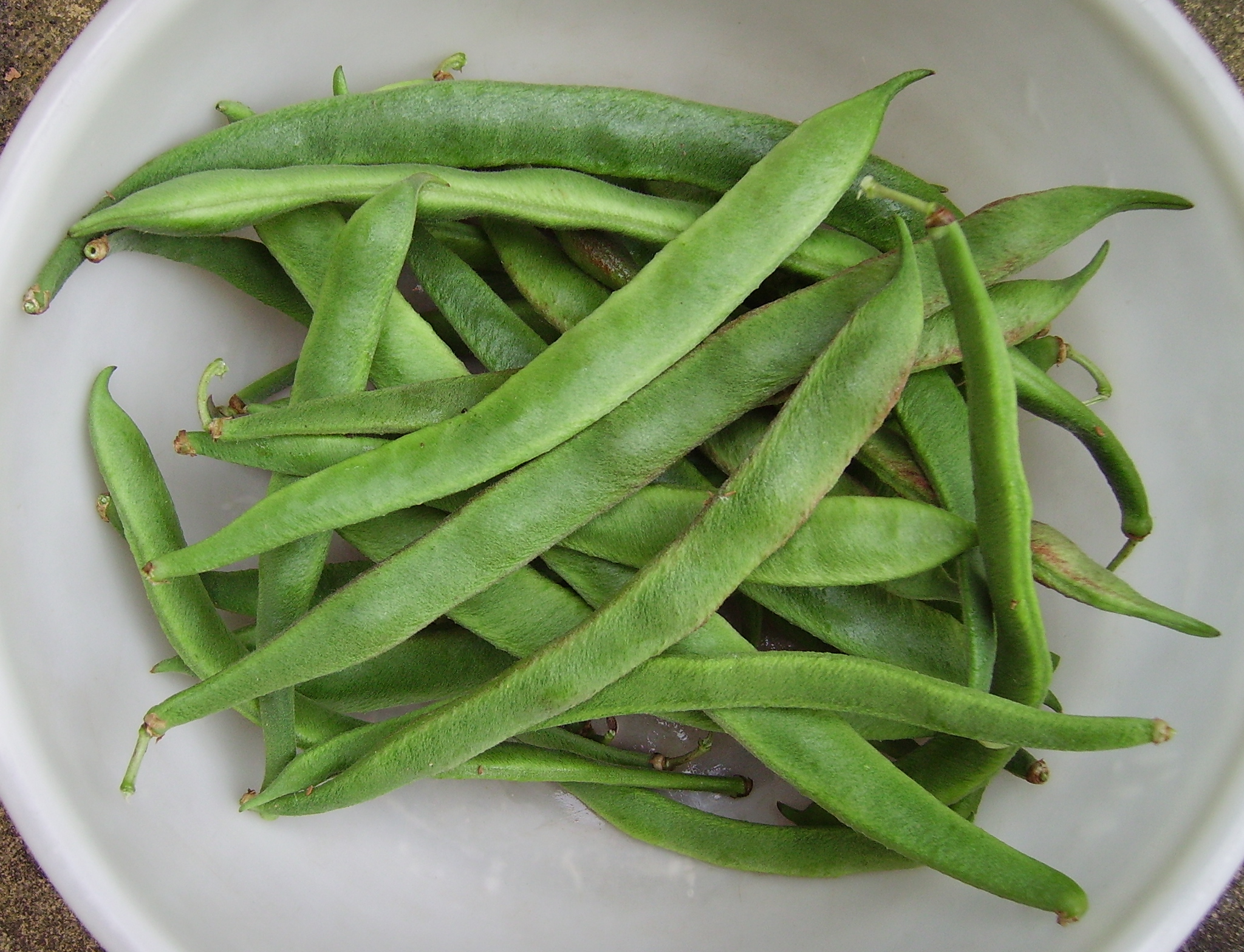 OrdinaryRunnerBeans