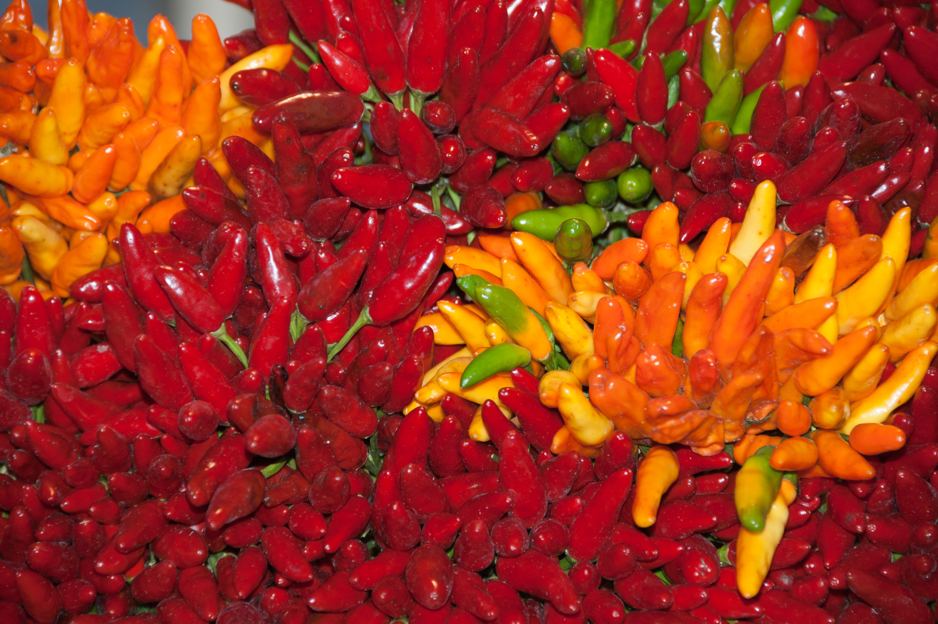 Peppers at the Rialto market (6293563430)