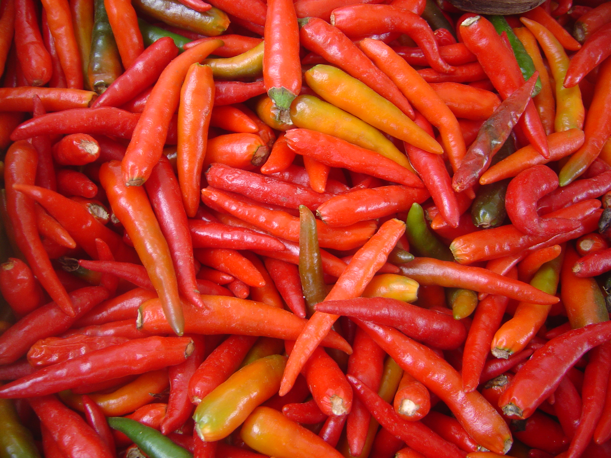 Peppers dsc07818