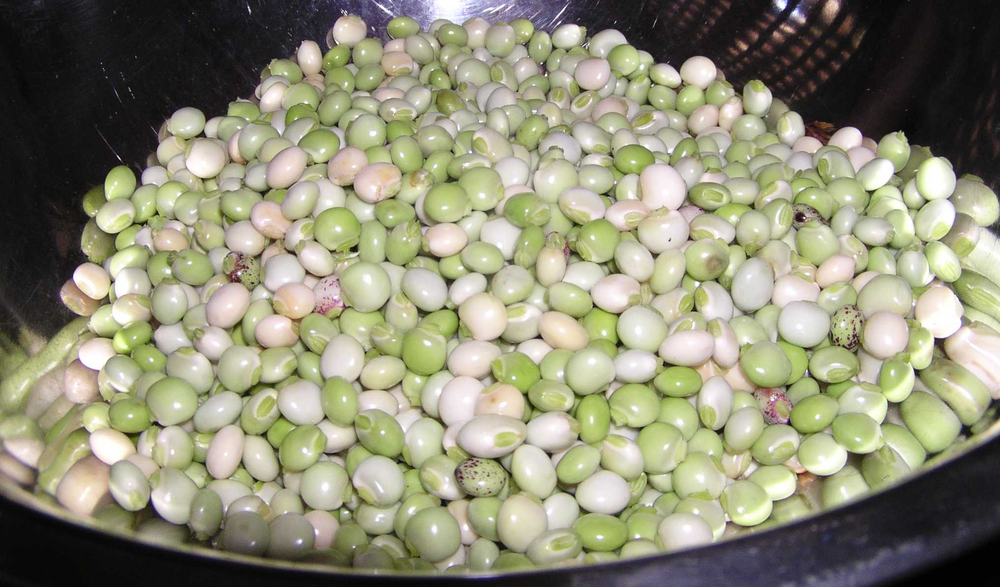 Pigeon peas2