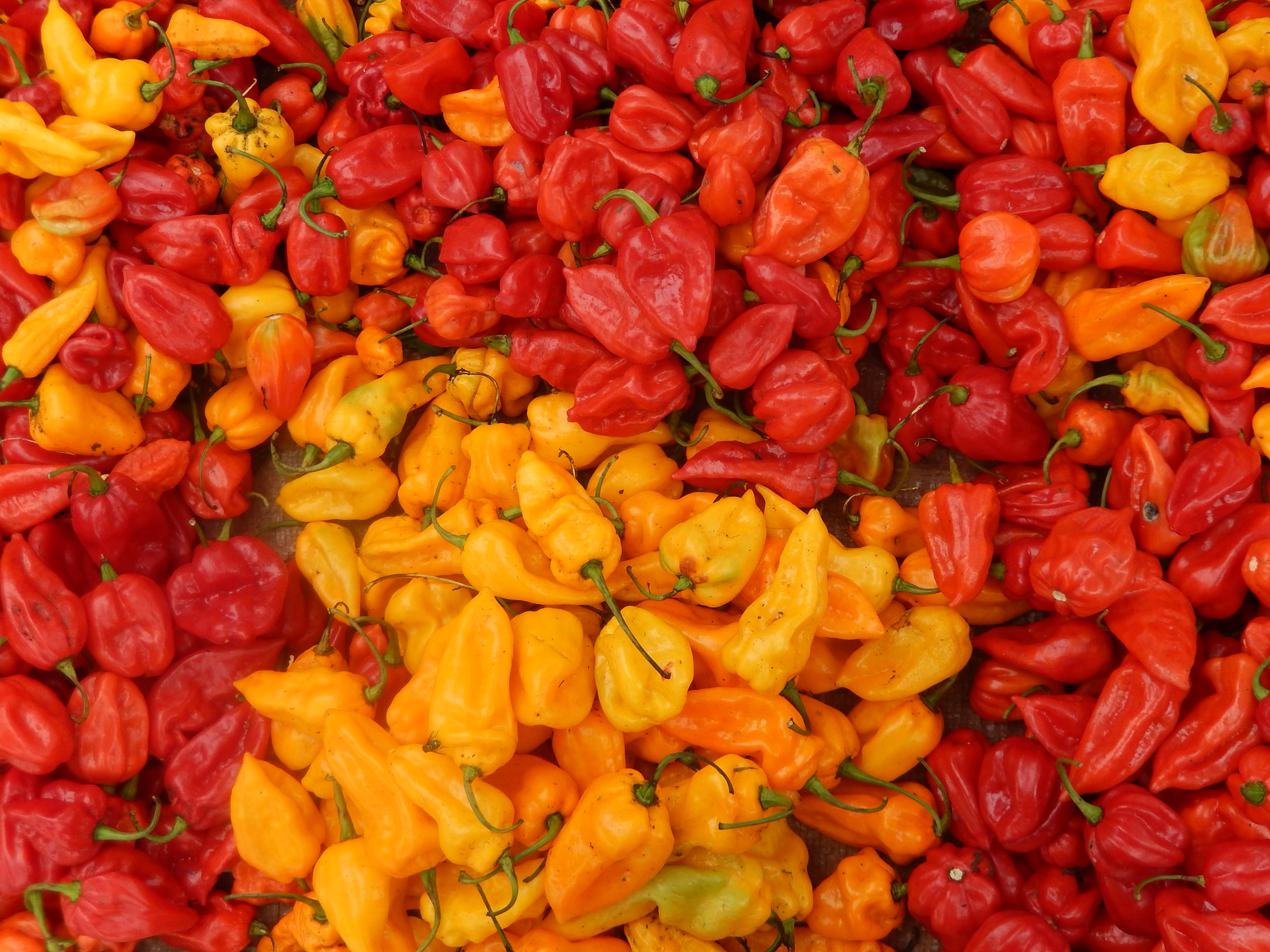 Piment (Cameroun)