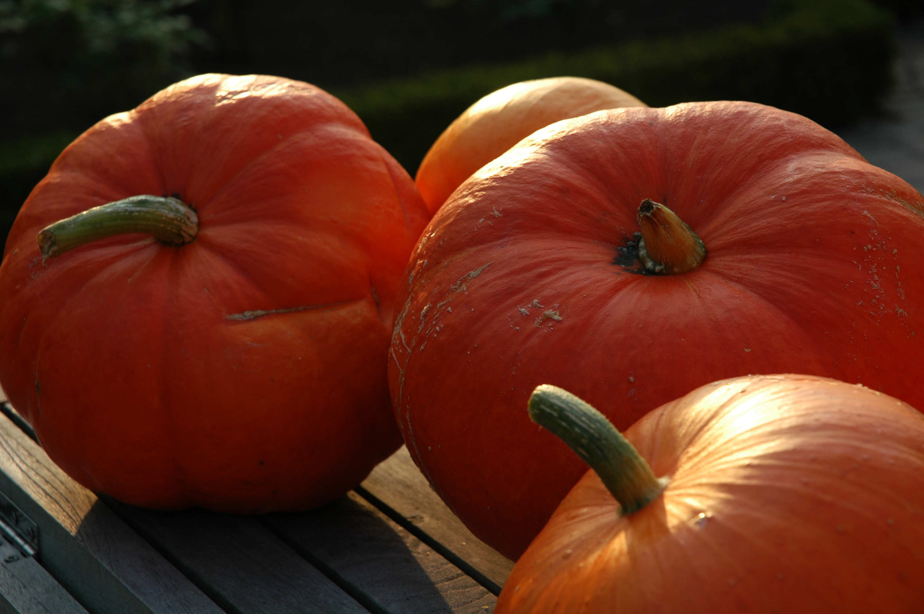 Pompoenen