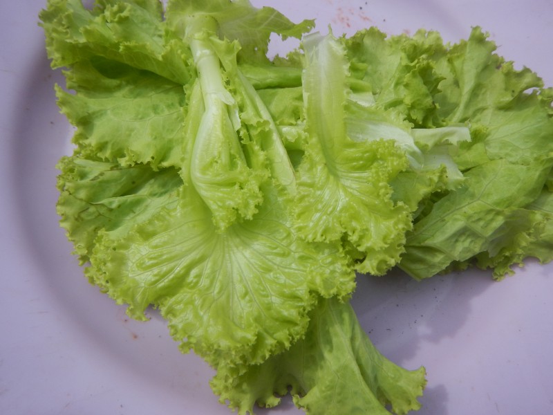 1780Foods Fruits Baliuag Bulacan Philippines 33