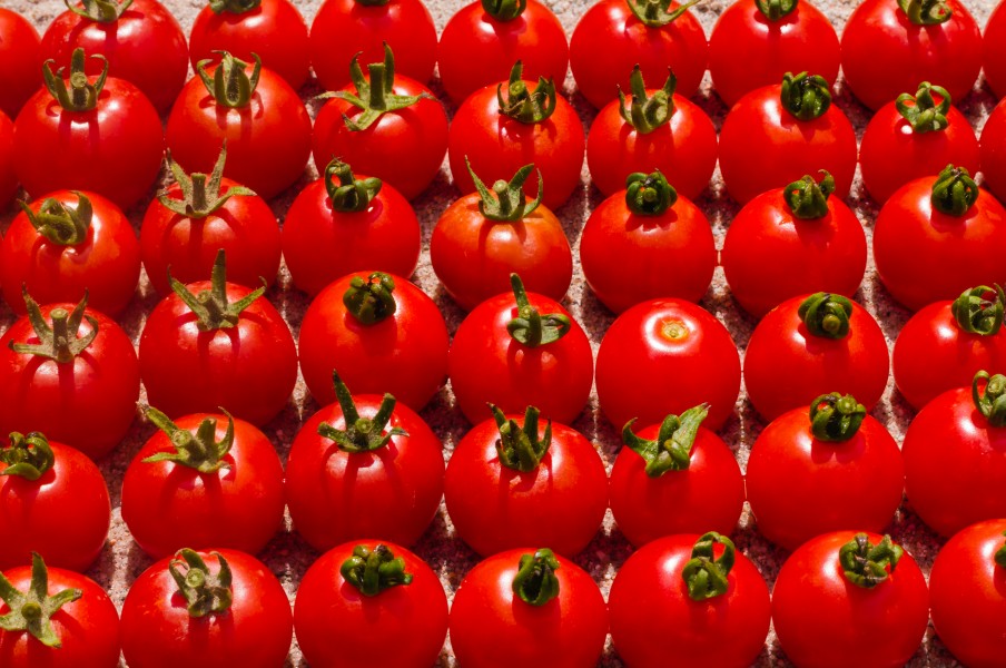 2012 08 05 030 Tomaten