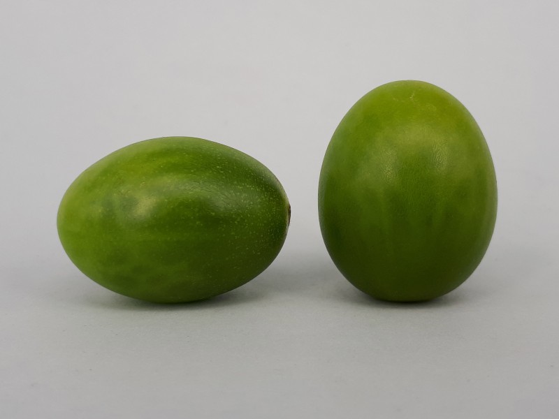 2 x Cherry Dulcemiel tomato 2017 A2