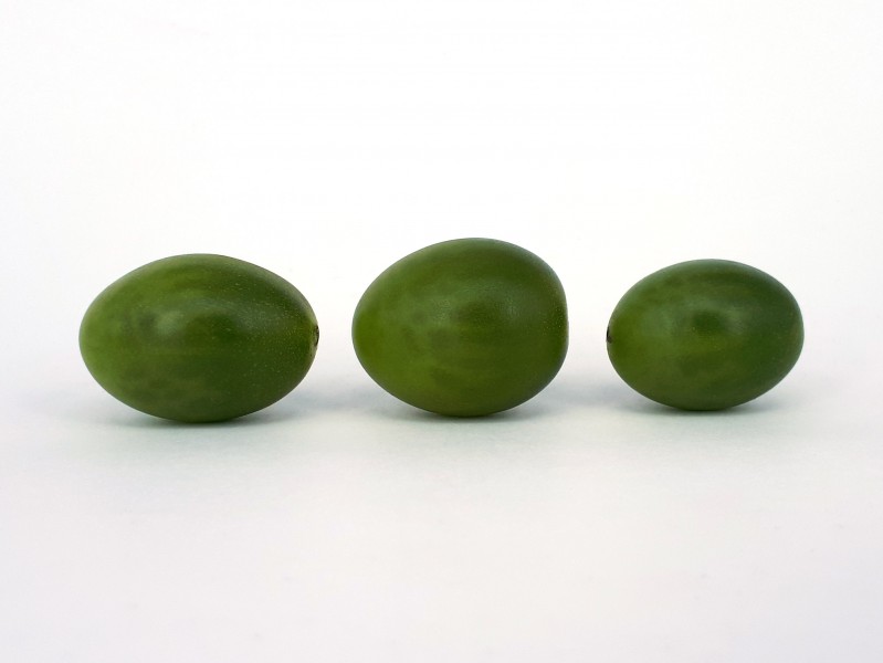3 x Cherry Dulcemiel tomato 2017 A1