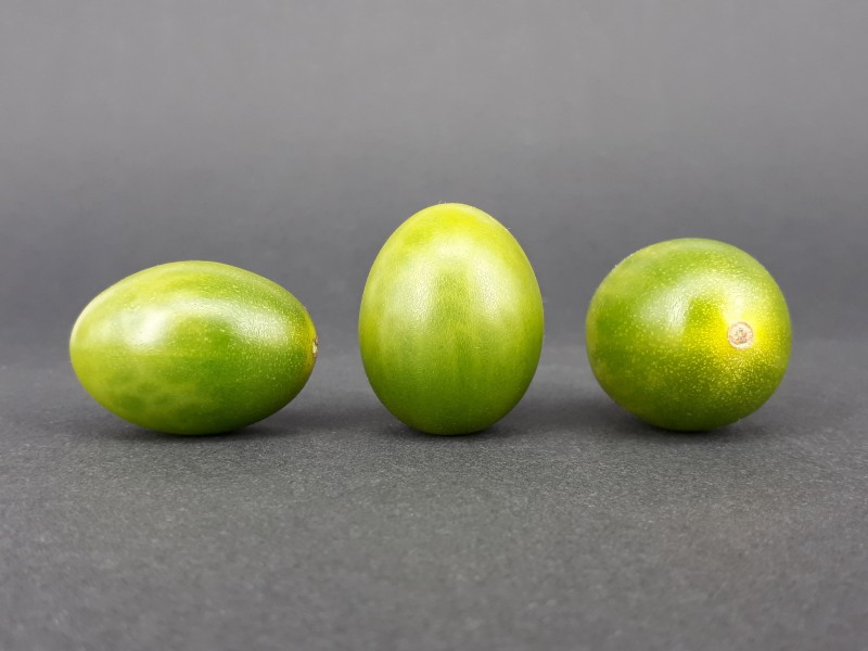 3 x Cherry Dulcemiel tomato 2017 A5