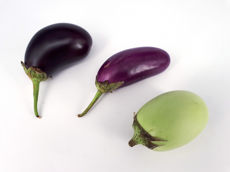3 x Small eggplant 2017 A1