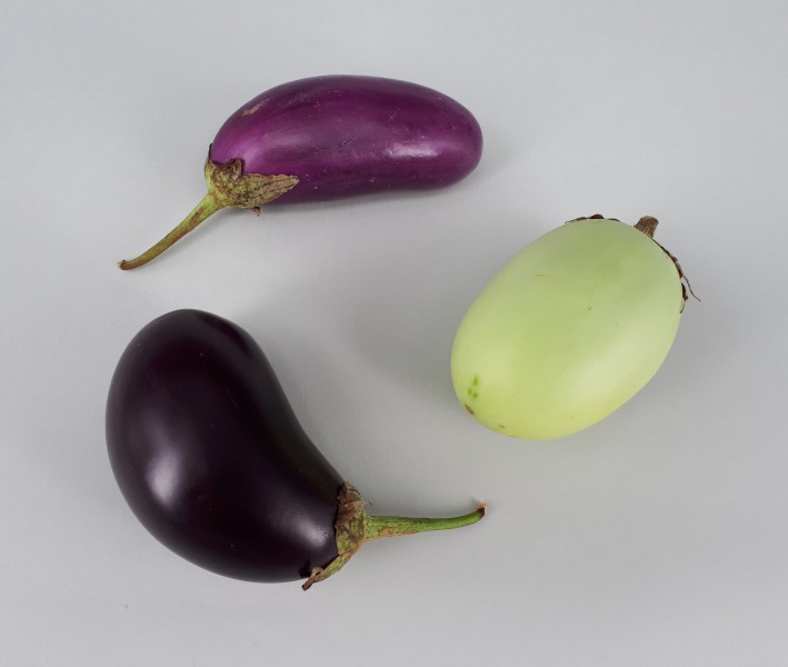 3 x Small eggplant 2017 A3