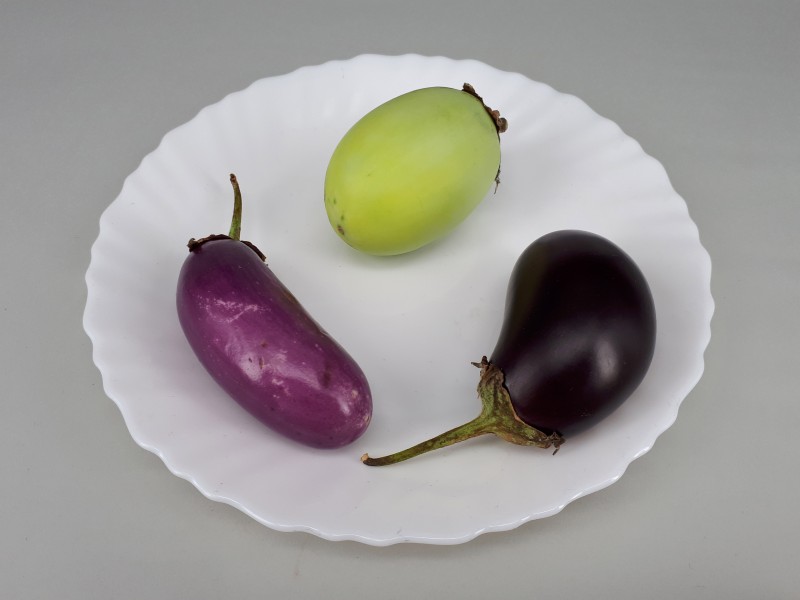 3 x Small eggplant 2017 A4