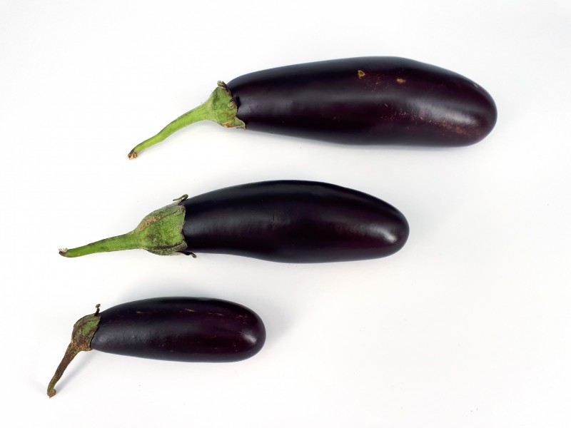 3 x Small eggplant 2017 B