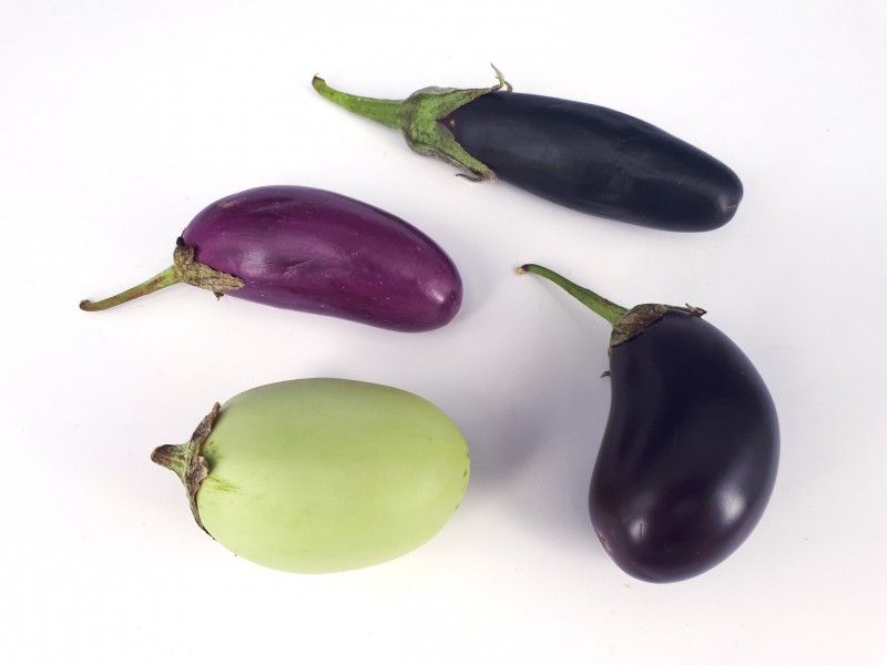 4 x Small eggplant 2017 B