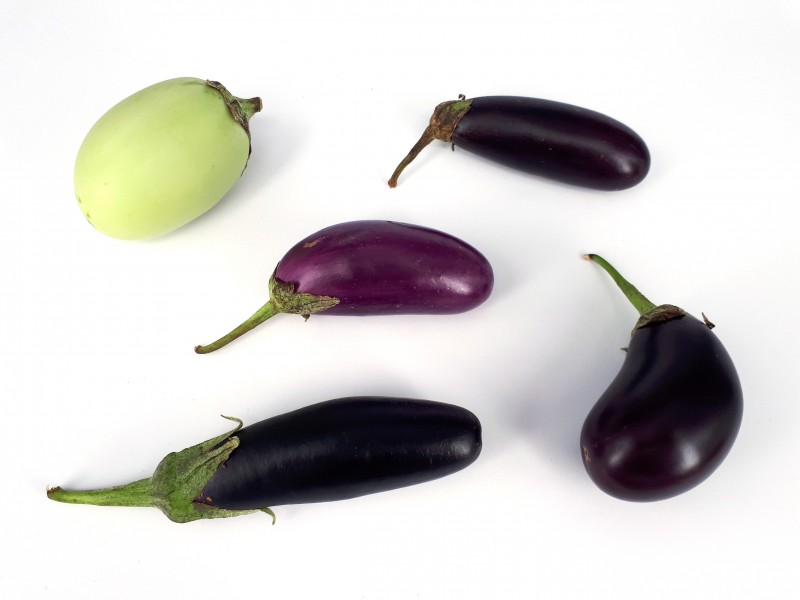 5 x Small eggplant 2017 C