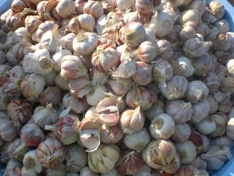 Ail