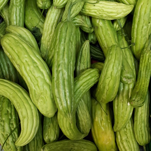 Ampalaya 2017 A2