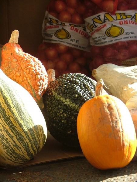 Assorted unidentified variety Gourds