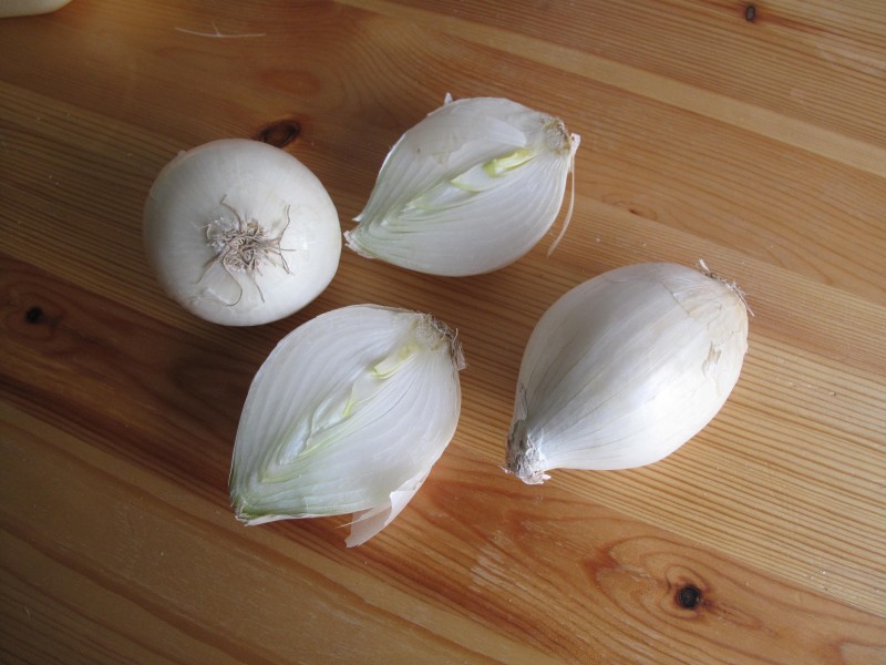 Bílá cibule