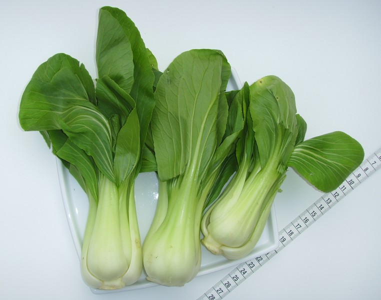 Baby Pak Choi (02)