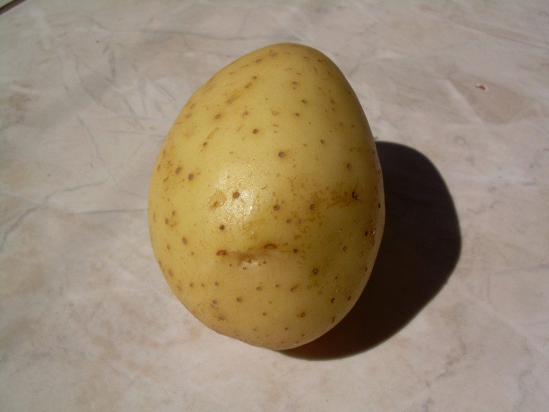 Batata 257