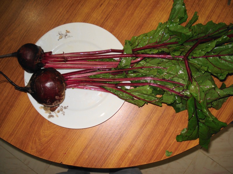 Beet