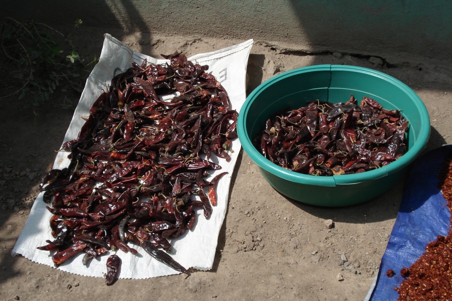 BerbereRedPeppers