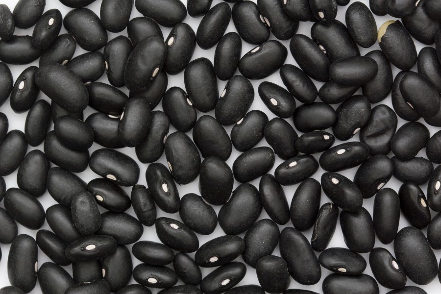 Black Turtle Bean