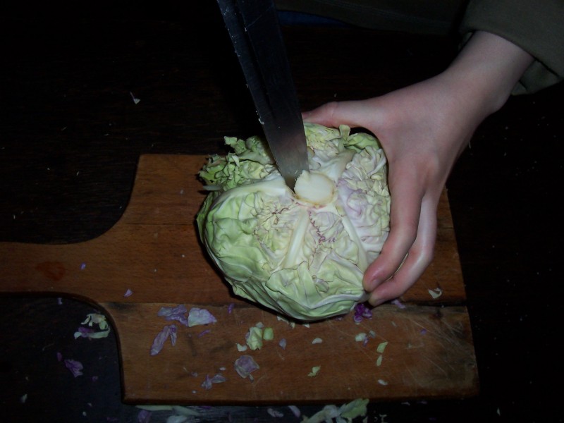 Cabbage root removal