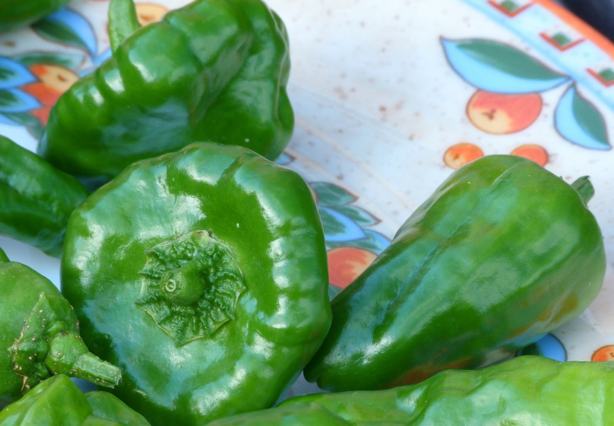 Capsicum13