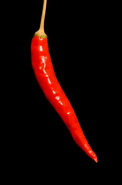 Capsicum - red chili chilli - piment rouge - roter Chili 01