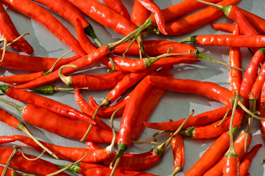Capsicum - red chili chilli - piment rouge - roter Chili 03