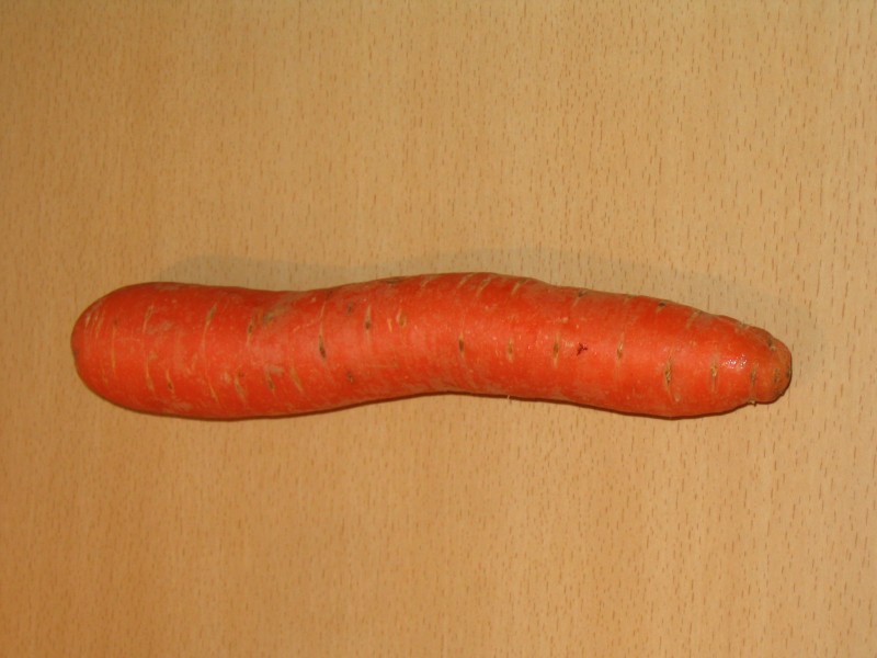 Carotte