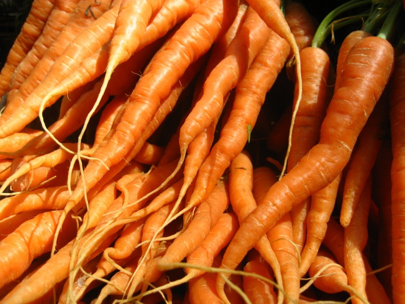 Carrots (4700571547)
