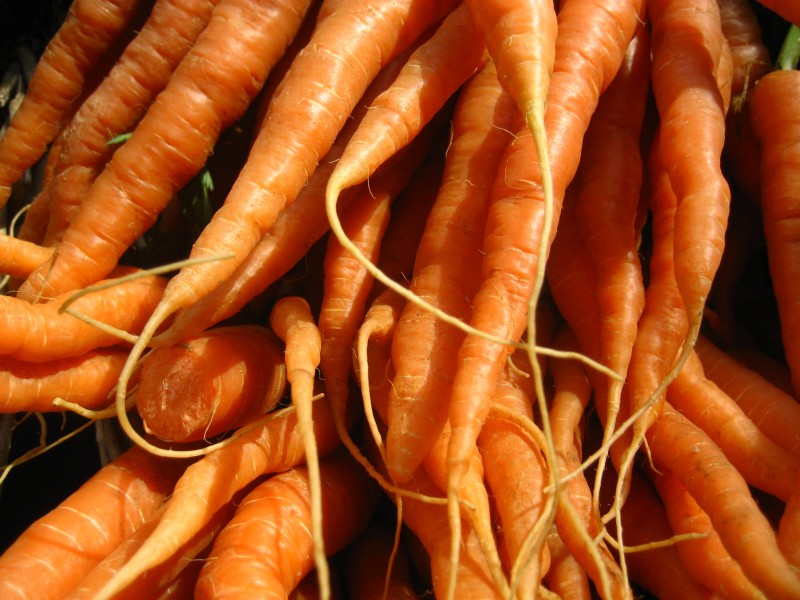 Carrots (4700574245)