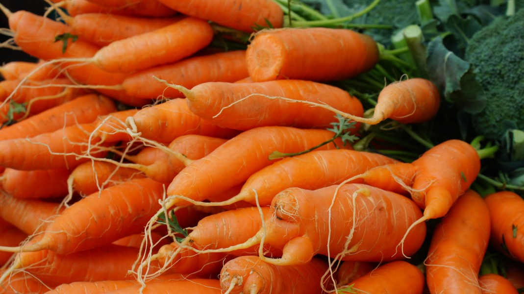 Carrots at Ljubljana Central Market
