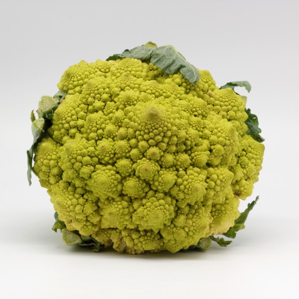 Chou romanesco 01
