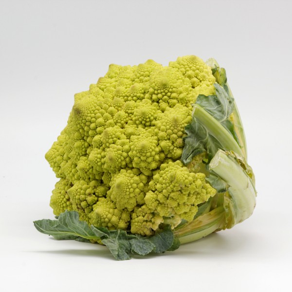 Chou romanesco 03