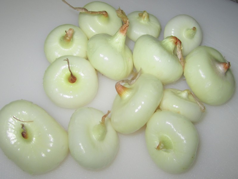 CipollineOnions