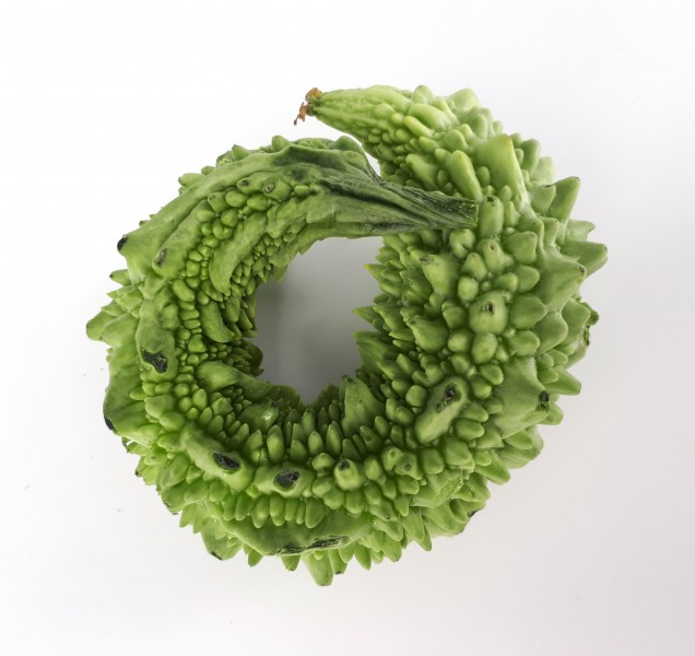 Circular karela 2017 A
