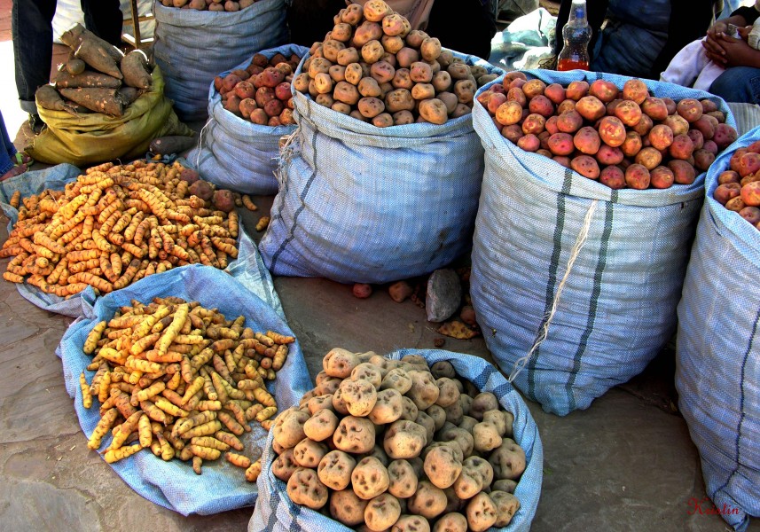 Cochabamba, Wochenmarkt feria2
